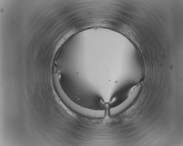 X0000067510898200605051826