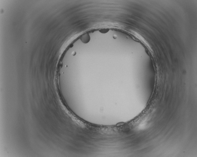 X0000067510901200605051826