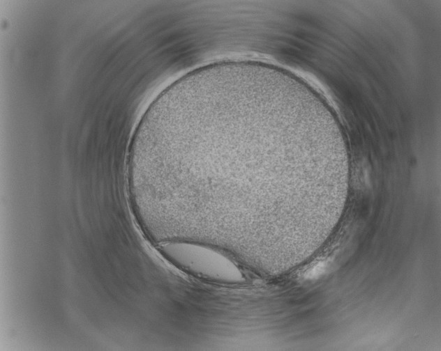 X0000067510903200605051826