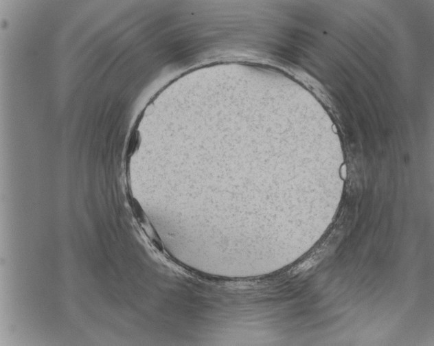 X0000067510904200605051826