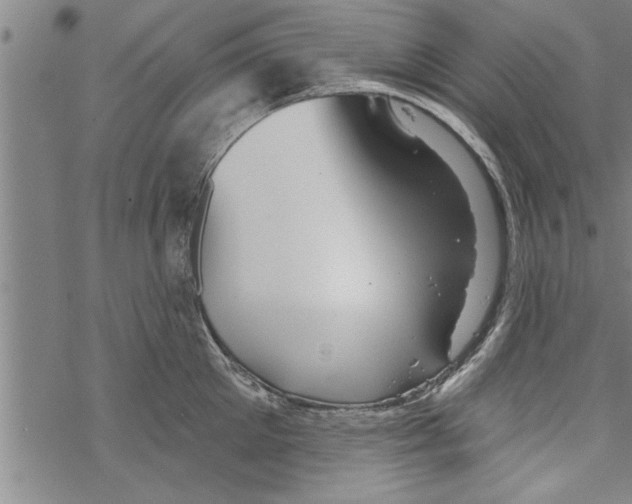 X0000067510905200605051826