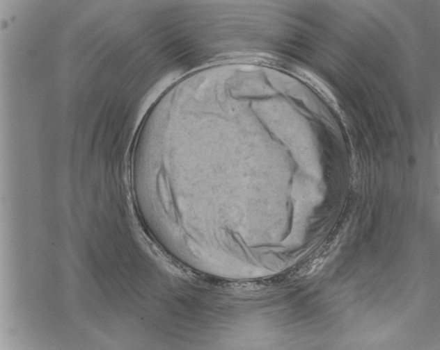 X0000067510907200605051826