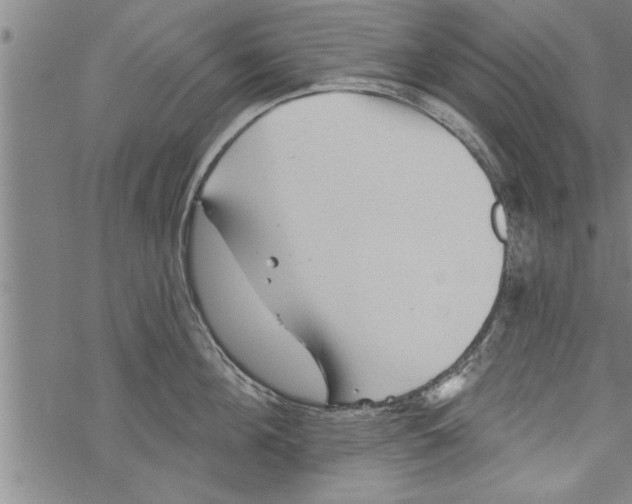 X0000067510908200605051826