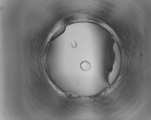 X0000067510909200605051826