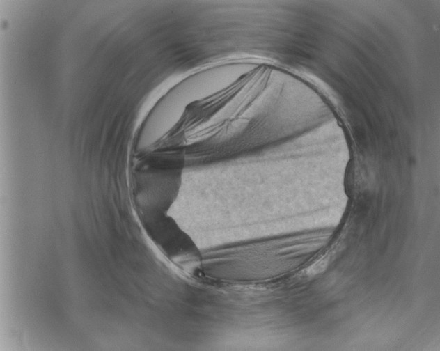 X0000067510910200605051826