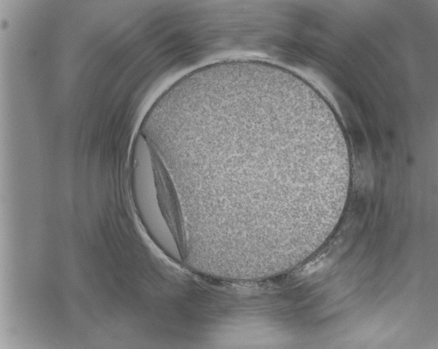 X0000067510911200605051826