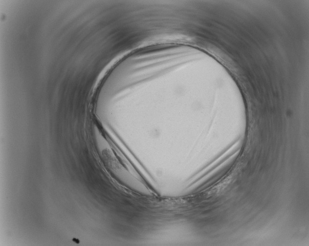 X0000067510912200605051826