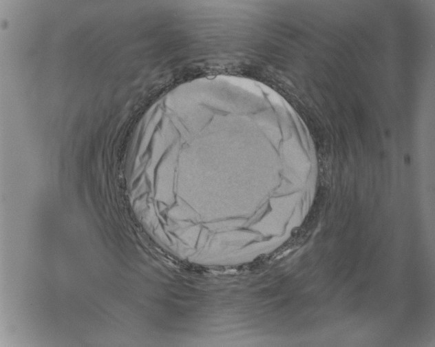 X0000067510913200605051825