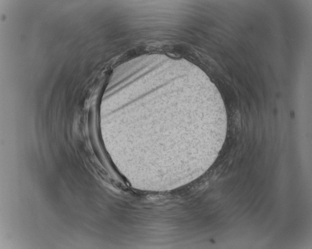 X0000067510914200605051825