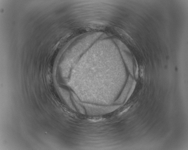 X0000067510915200605051825