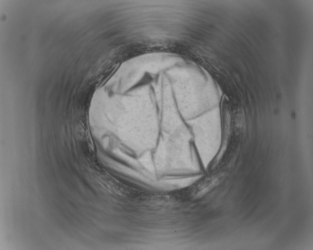 X0000067510916200605051825