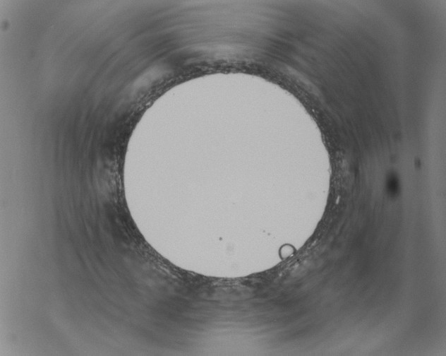 X0000067510918200605051825