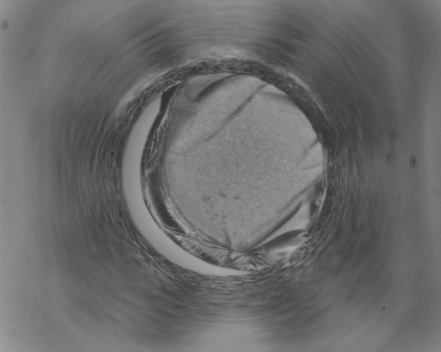 X0000067510919200605051825