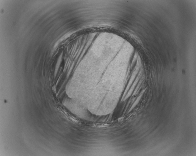 X0000067510920200605051825