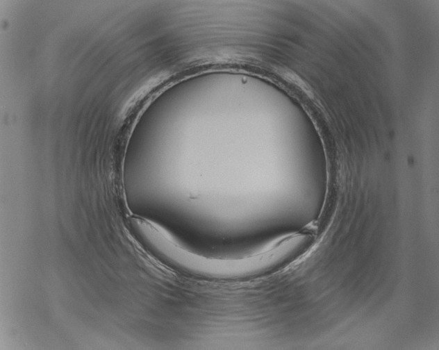 X0000067510922200605051825