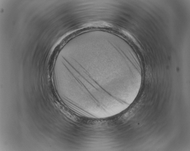 X0000067510923200605051825