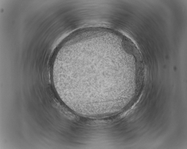 X0000067510925200605051825