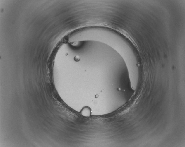 X0000067510926200605051825