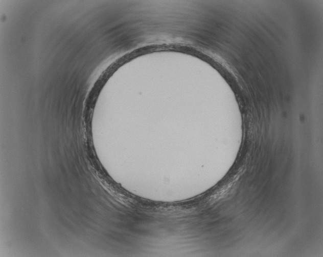 X0000067510927200605051825