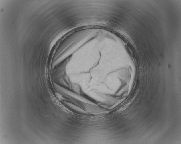 X0000067510928200605051825