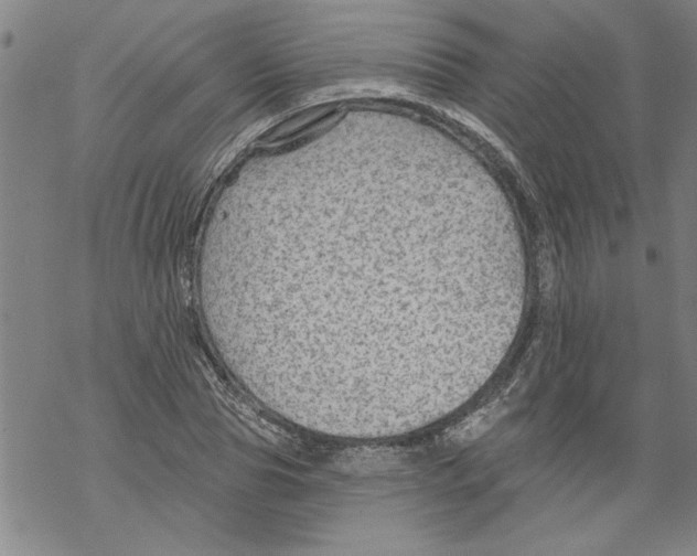 X0000067510929200605051825