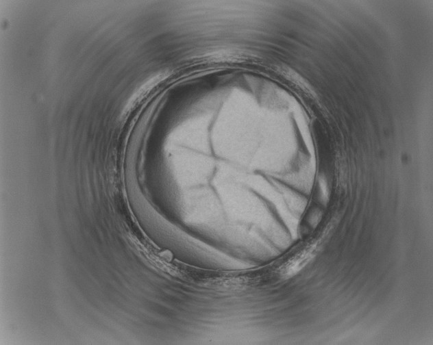 X0000067510930200605051825