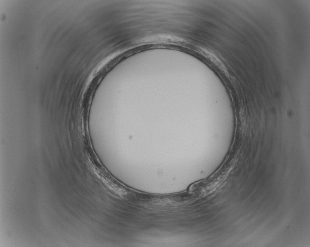 X0000067510931200605051825