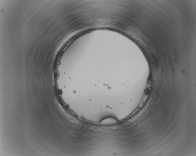 X0000067510934200605051825