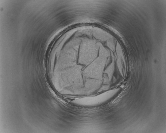 X0000067510935200605051825