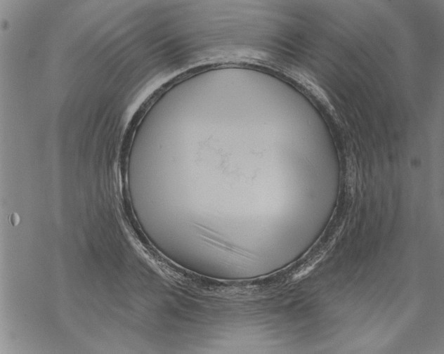 X0000067510936200605051825