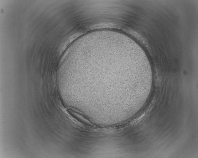 X0000067510937200605051825