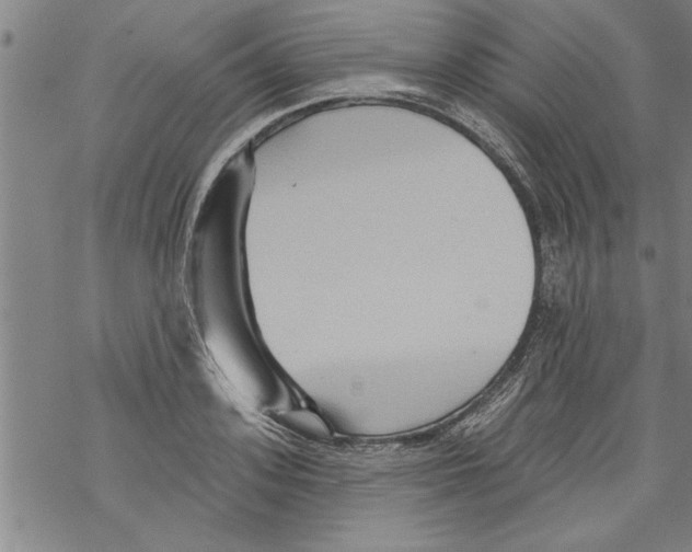 X0000067510939200605051825