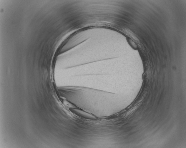 X0000067510940200605051825