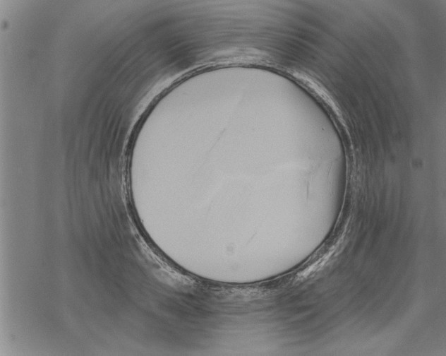 X0000067510941200605051825