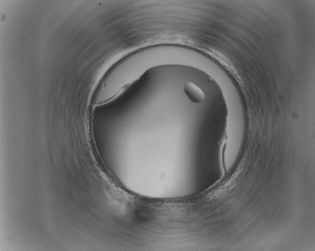 X0000067510942200605051825