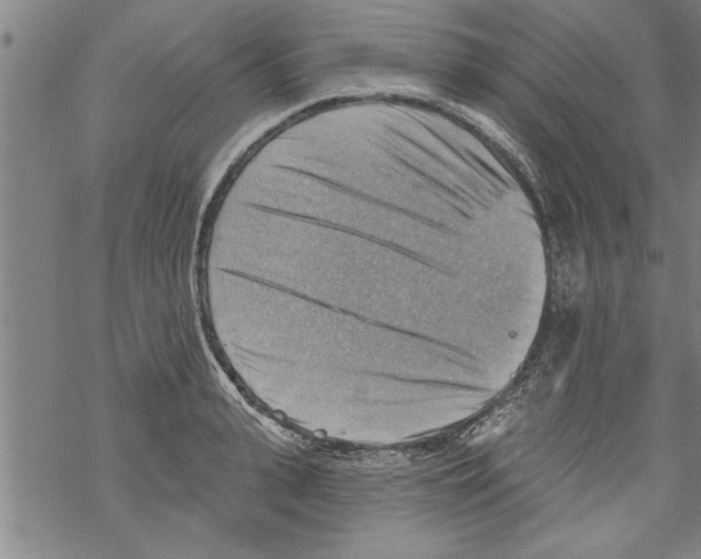 X0000067510943200605051825