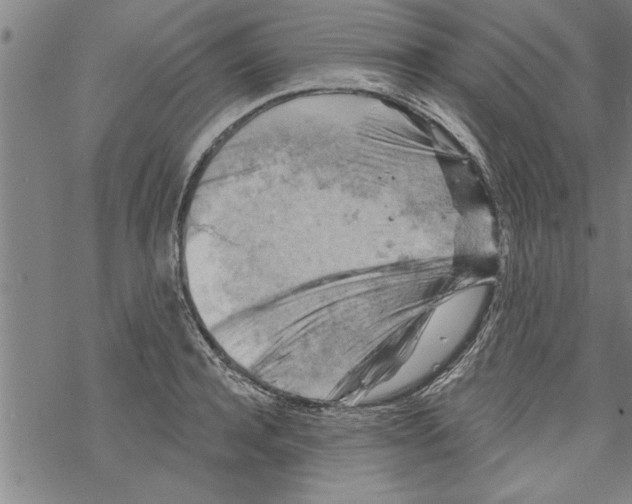 X0000067510944200605051825