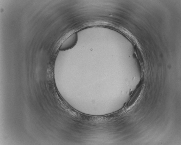 X0000067510945200605051825