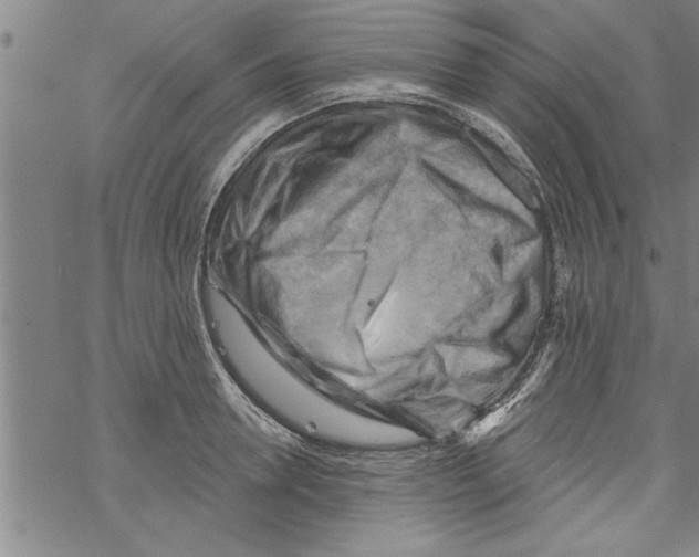 X0000067510946200605051825