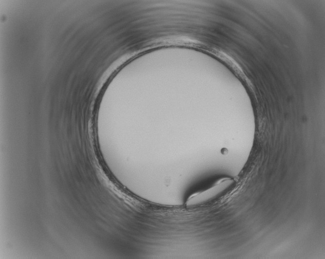 X0000067510947200605051825