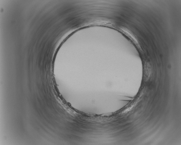 X0000067510948200605051826