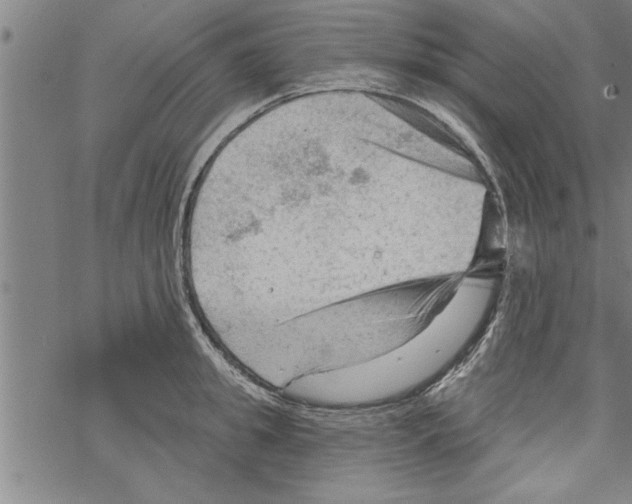 X0000067510949200605051826