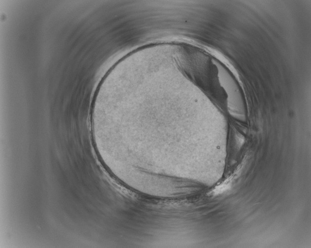 X0000067510951200605051826