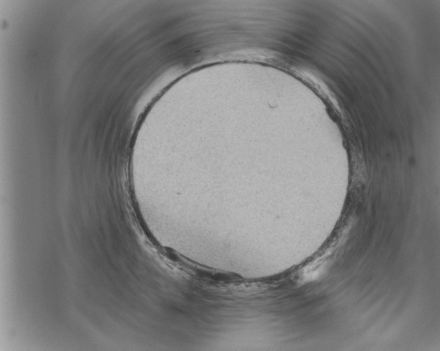 X0000067510952200605051826