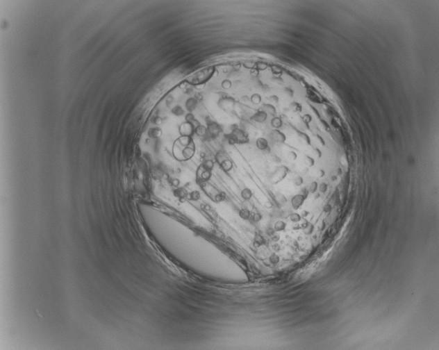 X0000067510953200605051826