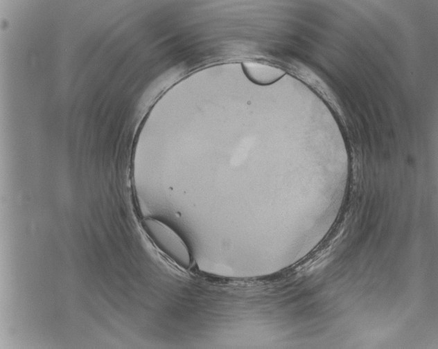 X0000067510954200605051826