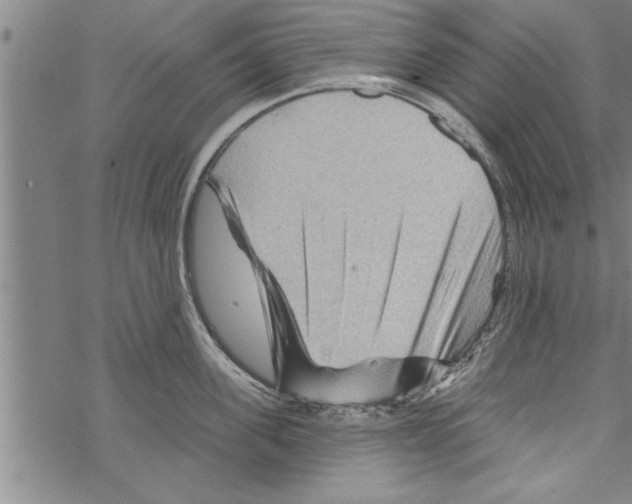 X0000067510955200605051826