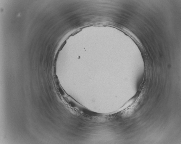 X0000067510956200605051826