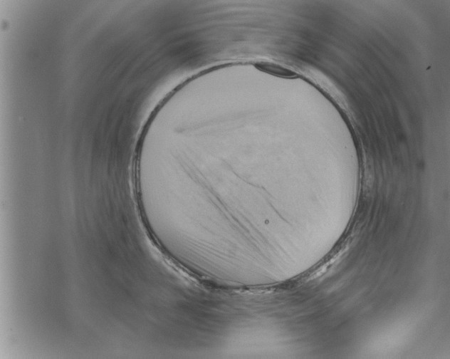 X0000067510958200605051826