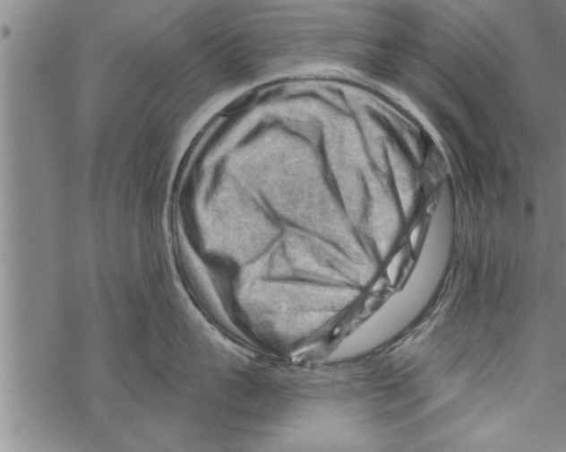 X0000067510959200605051826